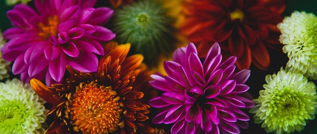 而影响全队 而影响全队