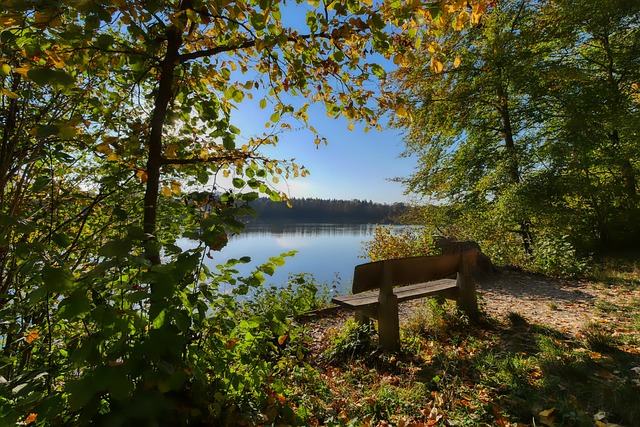 把控不足 把控不足
