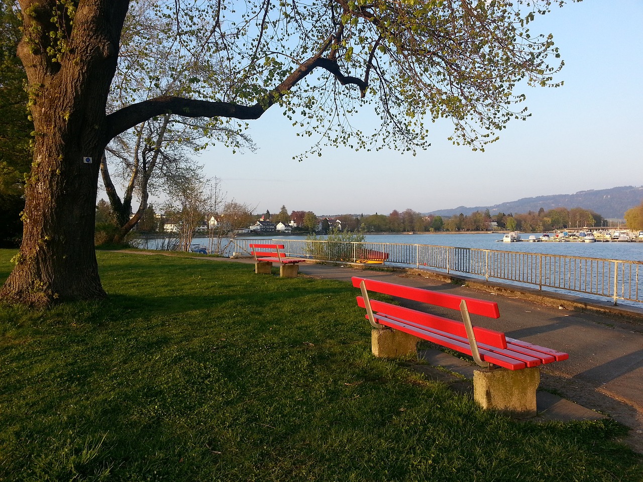 使得运动成 使得运动成