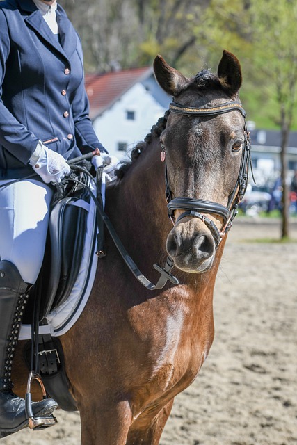 技术细腻 技术细腻