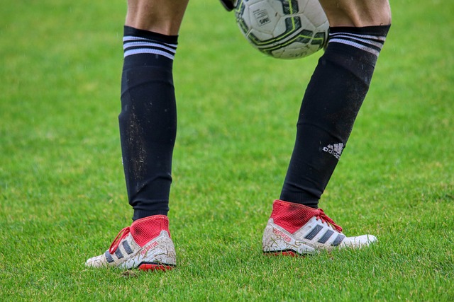 申花完胜海 申花完胜海